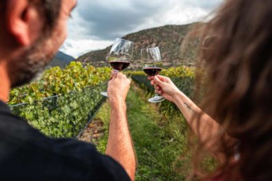 Jovenes cata de vino bodega